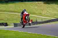 Lower Group Red Bikes